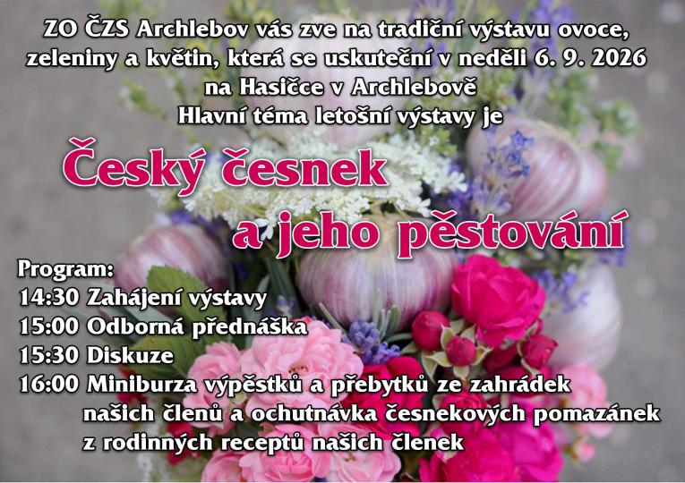 Česnek
